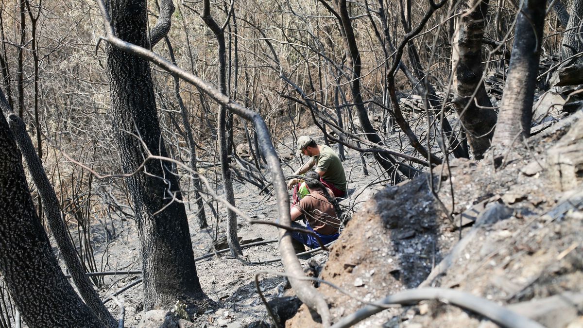 Voluntarios observan exhaustos los daños causados en la Sierra de Caurel tras el incendio