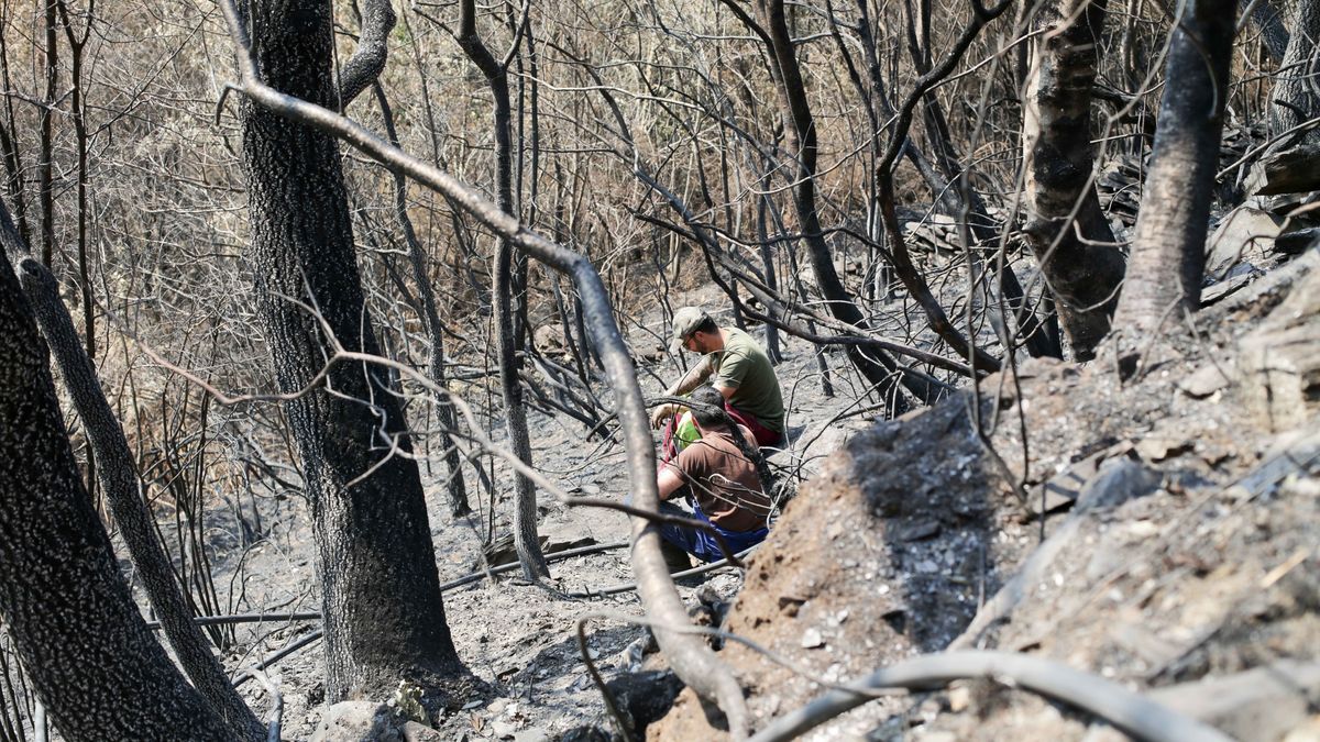 Voluntarios observan exhaustos los daños causados en la Sierra de Caurel tras el incendio Voluntarios observan exhaustos los daños causados en la Sierra de Caurel tras el incendio