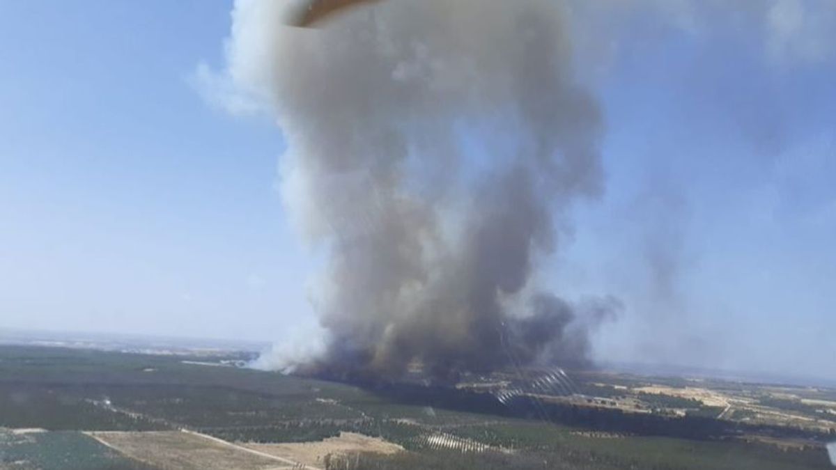 Declarado incendio forestal en Bonares. Declarado incendio forestal en Bonares.