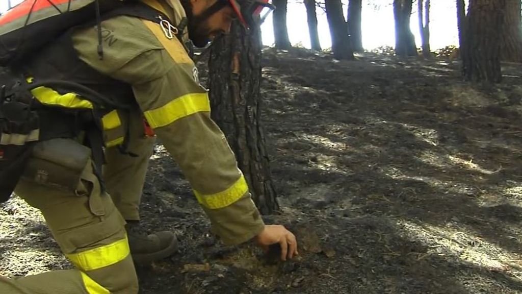 Estudian el origen de los incendios en Castilla y León