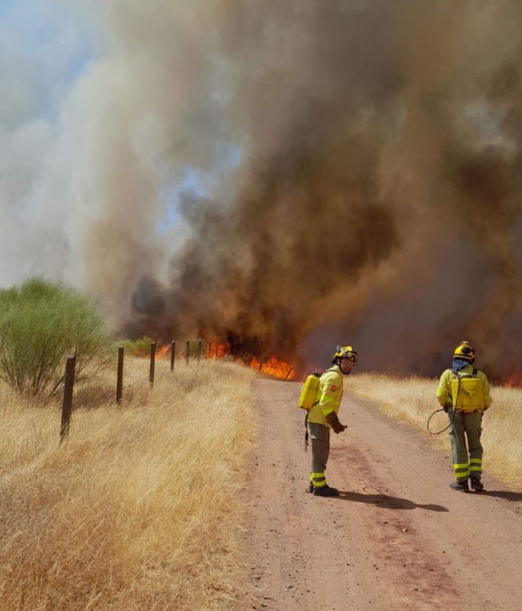 Los bomberos luchan contra las llamas en Cantillana.