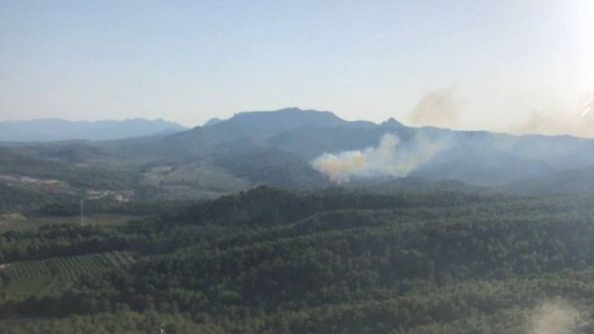 Un detenido por el incendio de Móra y Corbera d'Ebre Un detenido por el incendio de Móra y Corbera d'Ebre