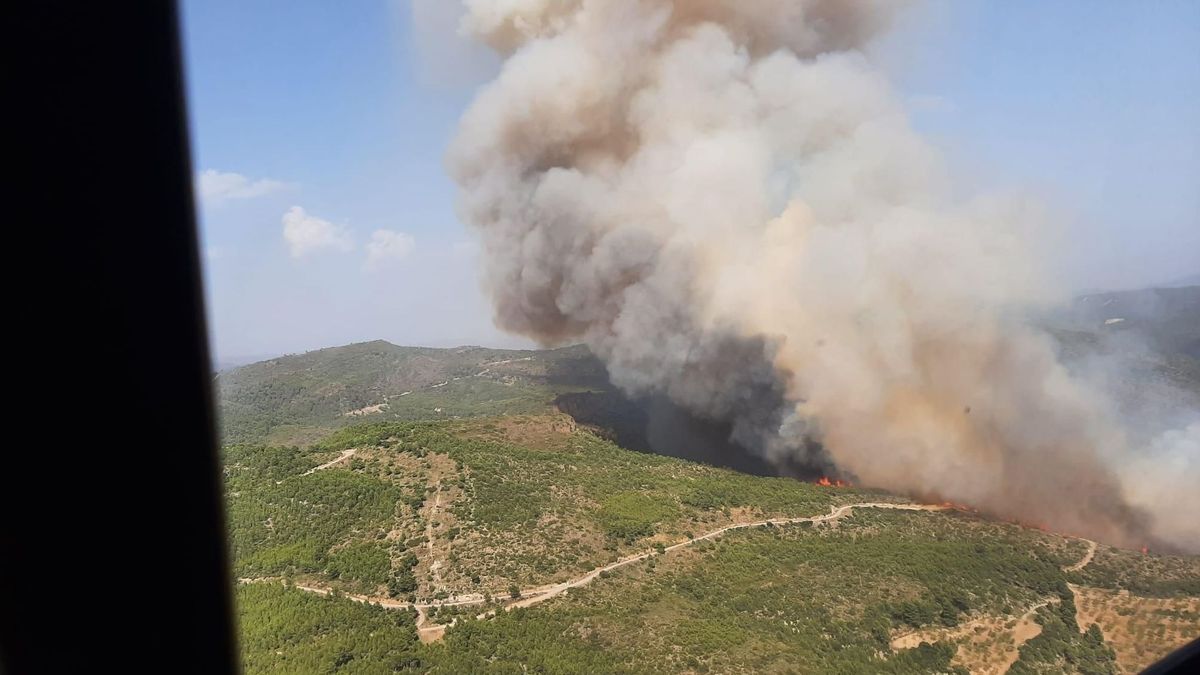 Un incendio forestal en Calles afecta también a la planta de compostaje Un incendio forestal en Calles afecta también a la planta de compostaje