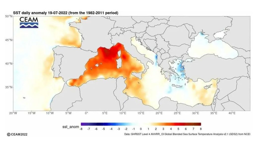 Anomalía de la temperatura de la superficie del mar el 19 de julio de 2022