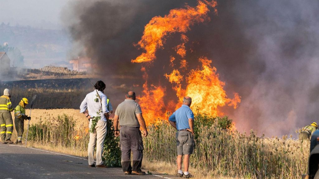 El incendio de Quintanilla del Coco habría sido provocado por un agricultor que cosechaba en horario prohibido