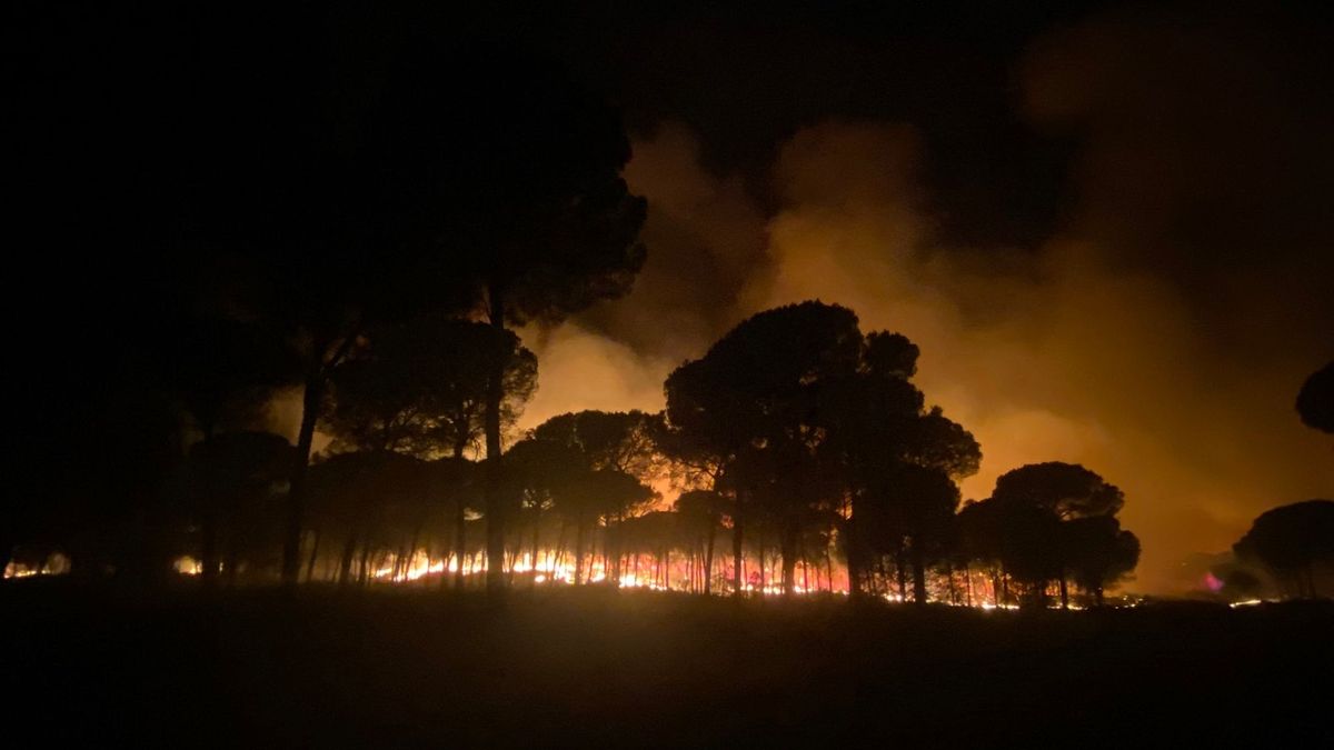 Incendio en Almonte. Incendio en Almonte.
