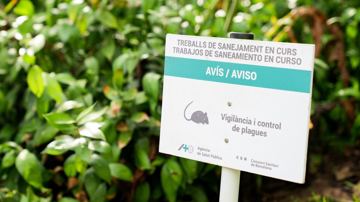 Un cartel indica la existencia de una plaga de ratas en Barcelona Un cartel indica la existencia de una plaga de ratas en Barcelona