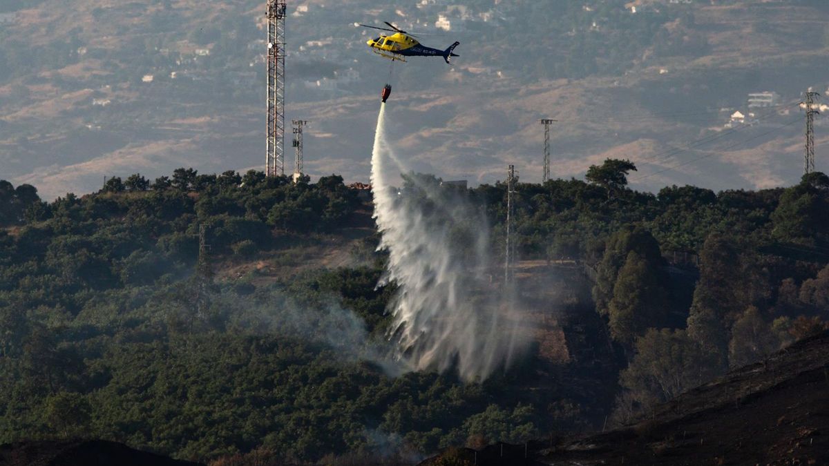 La superficie quemada por los incendios en España asciende a 222.800 hectáreas