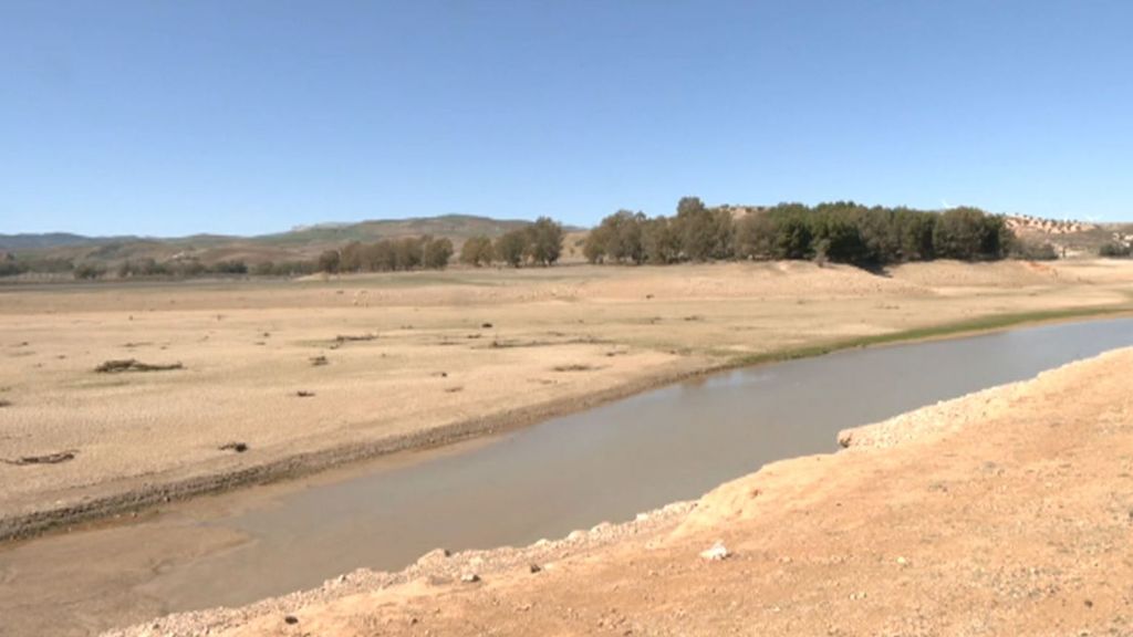 Las altísimas temperaturas y la falta de lluvia ponen a España ante una sequía histórica