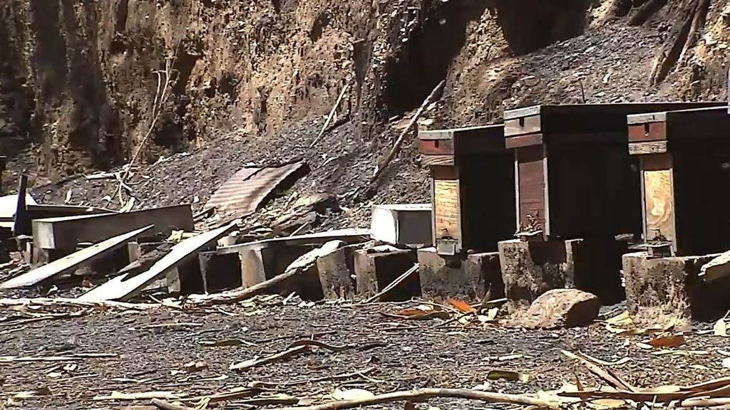 El incendio en la sierra de o Courel, en Lugo arrasa con las colmenas y nos dejará sin miel por cinco años