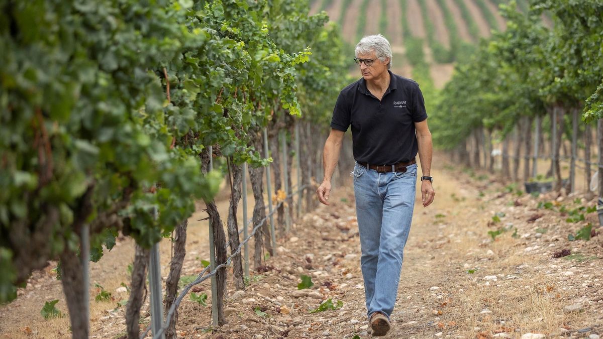 La DO Costers del Segre inicia su vendimia más temprana por el calor y la sequía La DO Costers del Segre inicia su vendimia más temprana por el calor y la sequía