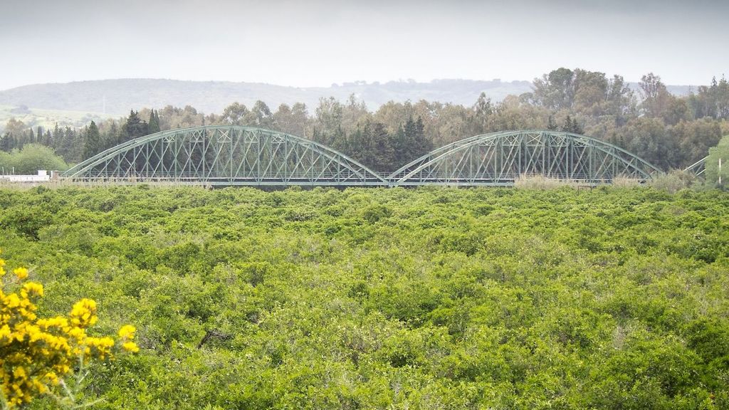 Puente de Hierro sobre el Guadiaro