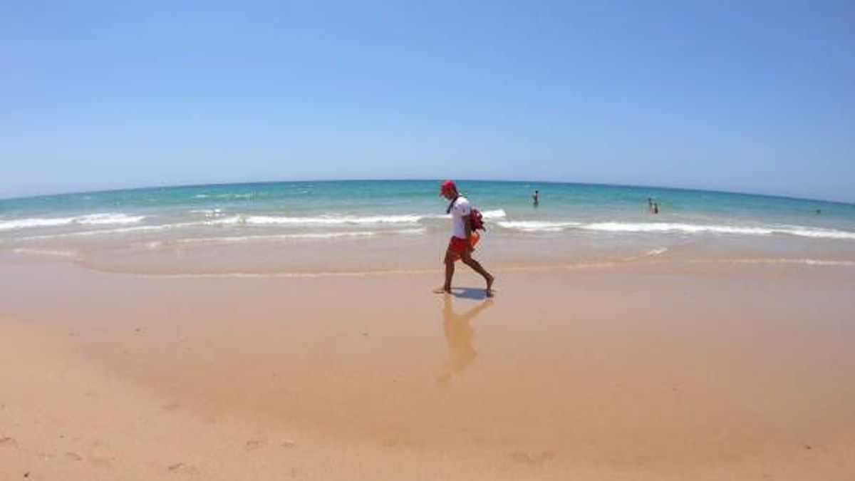 Alerta en las playas de Cádiz por la proliferación del pez araña: qué hacer en caso de picadura
