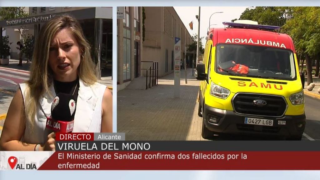Sanidad notifica la segunda muerte por viruela del mono en España