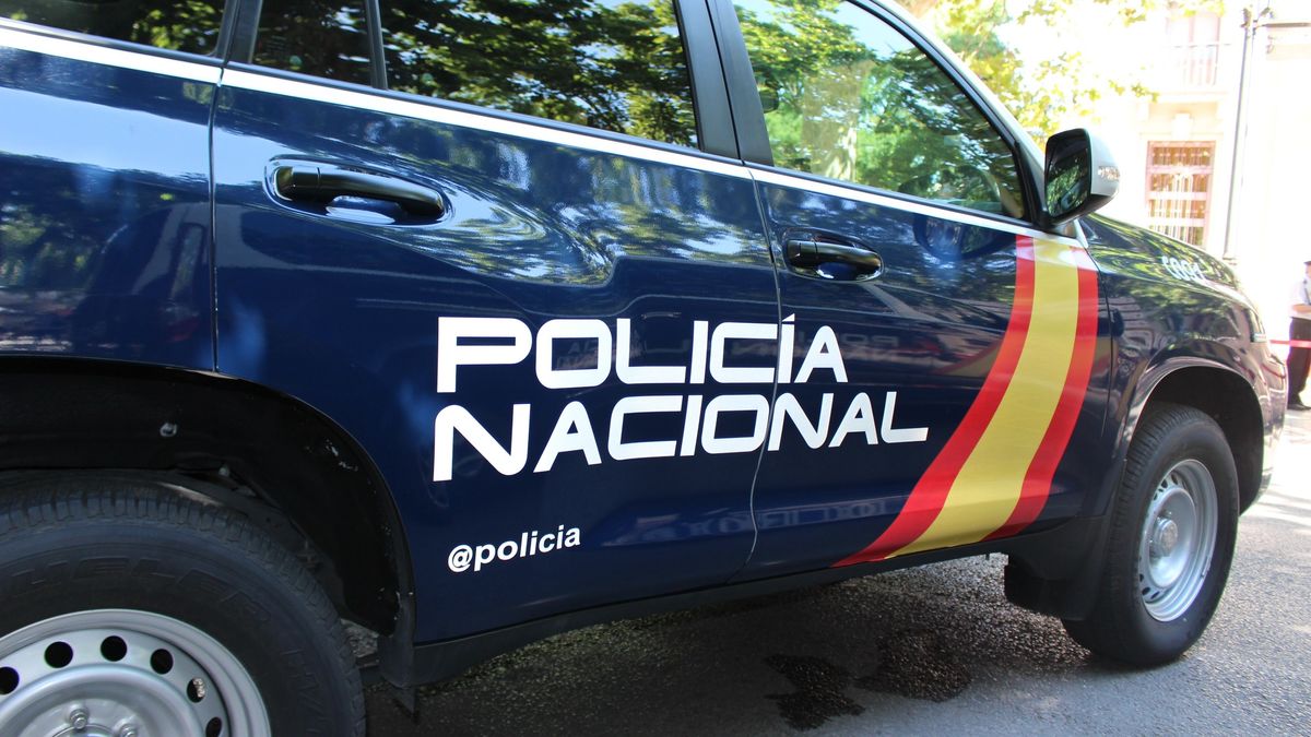 IMAGEN DE UN COCHE DE LA POLICÍA NACIONAL - POLICÍA NACIONAL