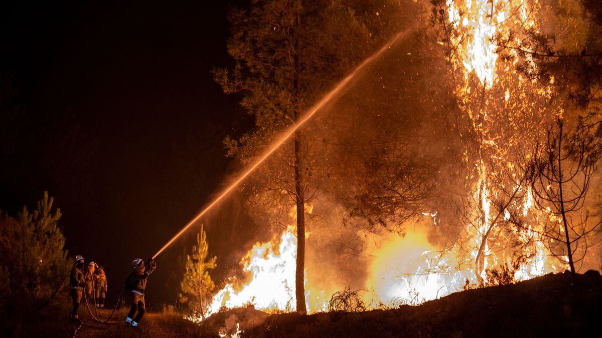 Incendio en Castrelo de Miño (Ourense)