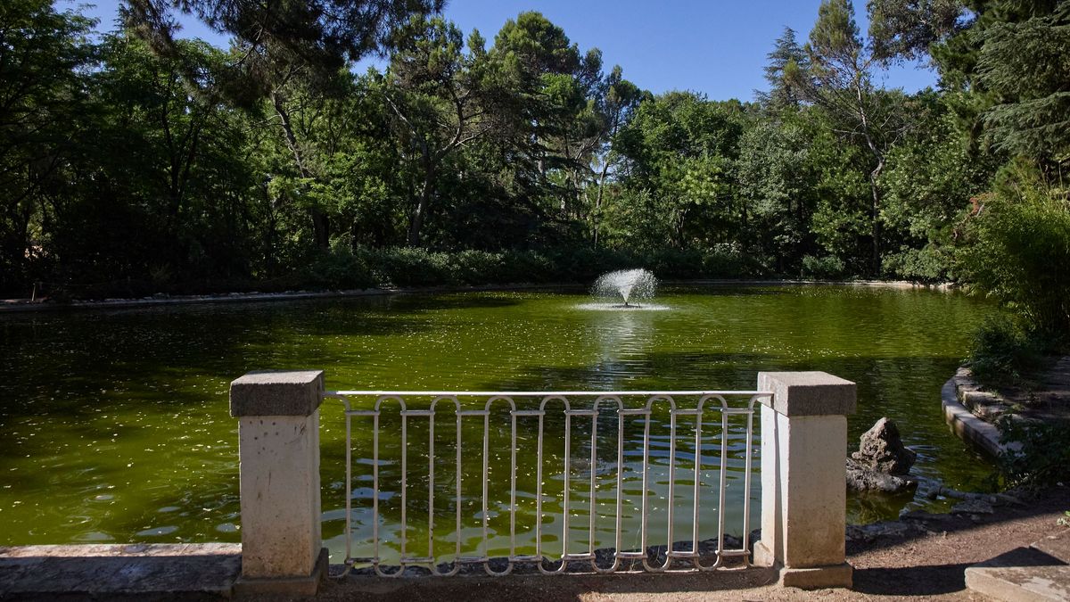 Parque de El Retiro Parque de El Retiro