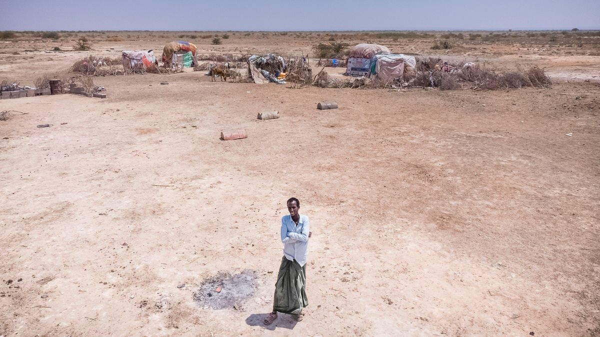 Un pastor afectado por la sequía en la región de Puntlandia, en el norte de Somalia