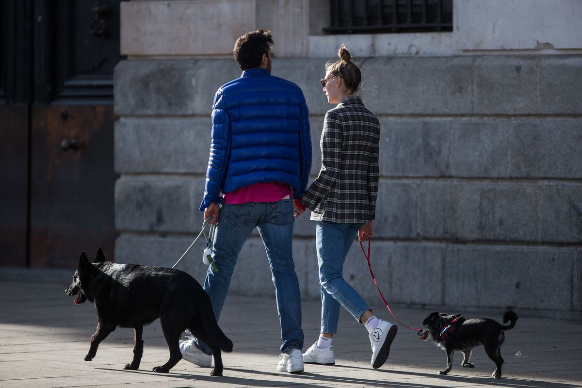 Archivo - Una pareja pasea a los perros en Madrid. Archivo - Una pareja pasea a los perros en Madrid.