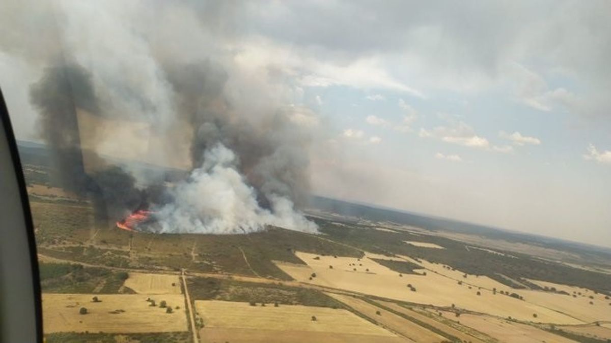 Imagen del incendio forestal que afecta a Losacio