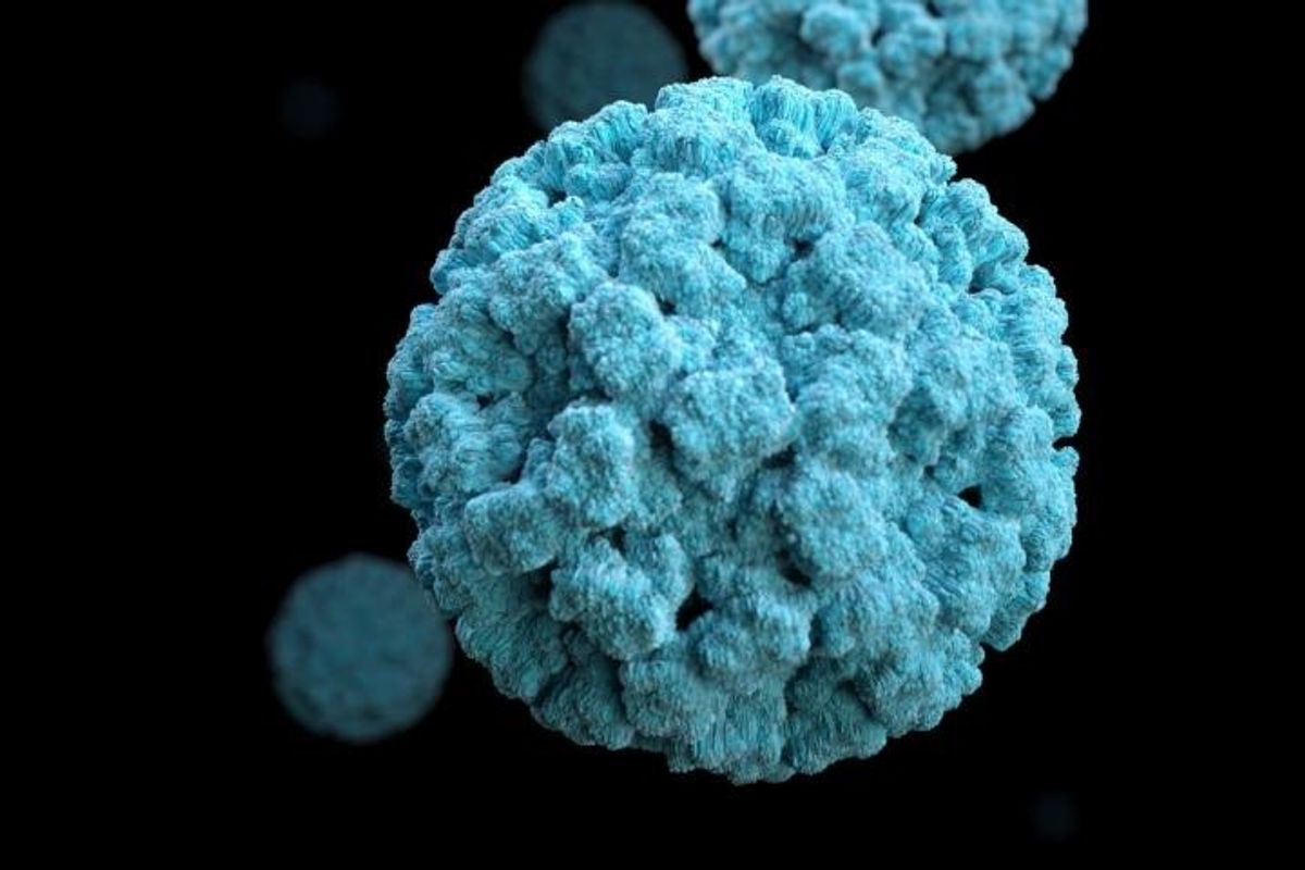 Norovirus, imagen de archivo Norovirus, imagen de archivo