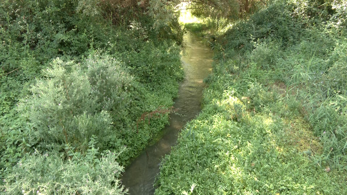 El río Fardes a su paso por El Bejarín