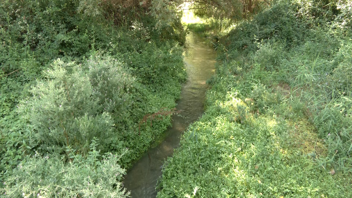 El río Fardes a su paso por El Bejarín El río Fardes a su paso por El Bejarín