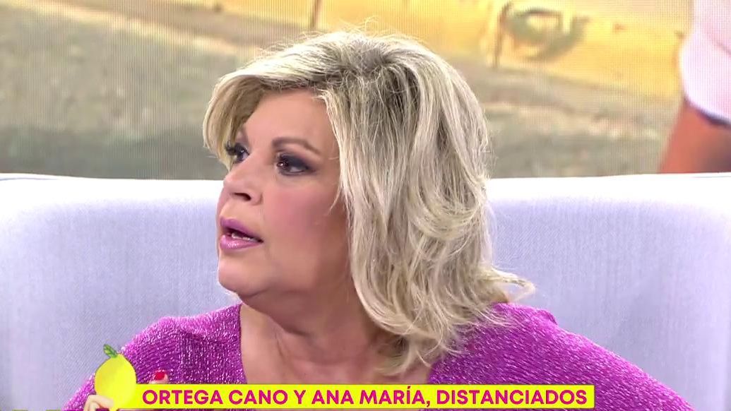 Las palabras de Terelu Campos sobre Ana María Aldón