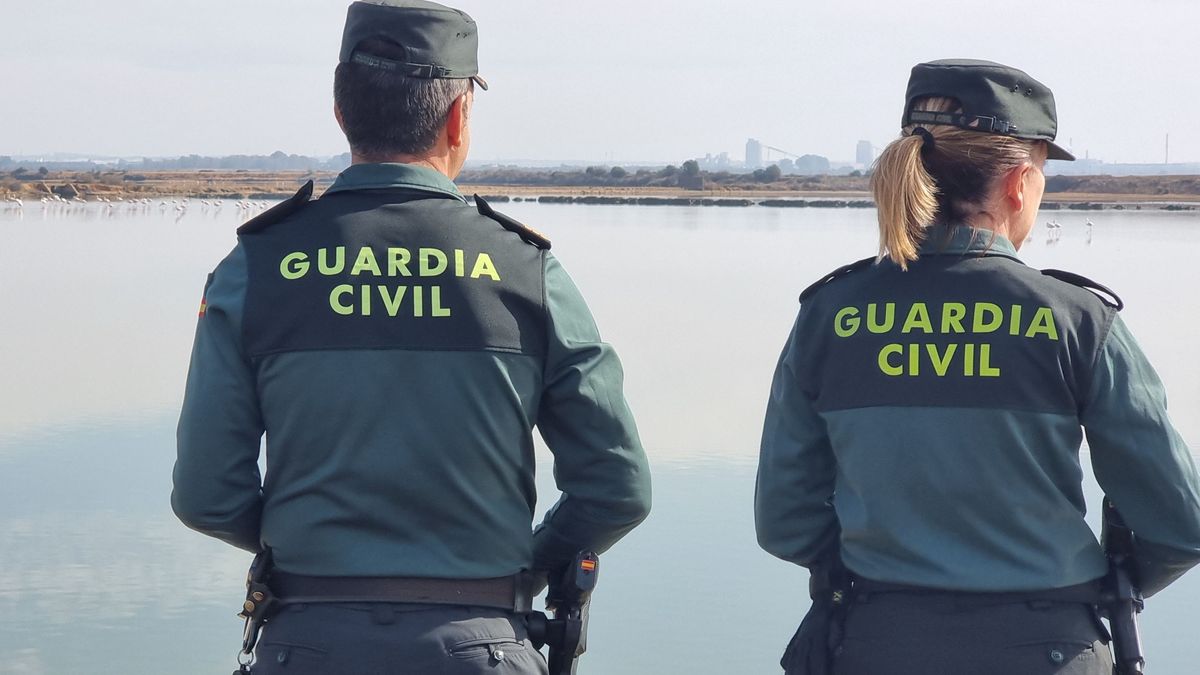 Encuentran un cuerpo descuartizado en Alfondeguilla, en Castellón