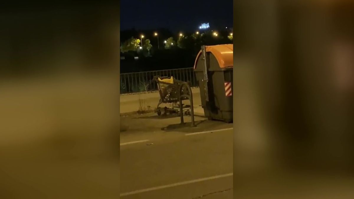 Las ratas invaden las grandes ciudades atraídas por la basura y las altas temperaturas