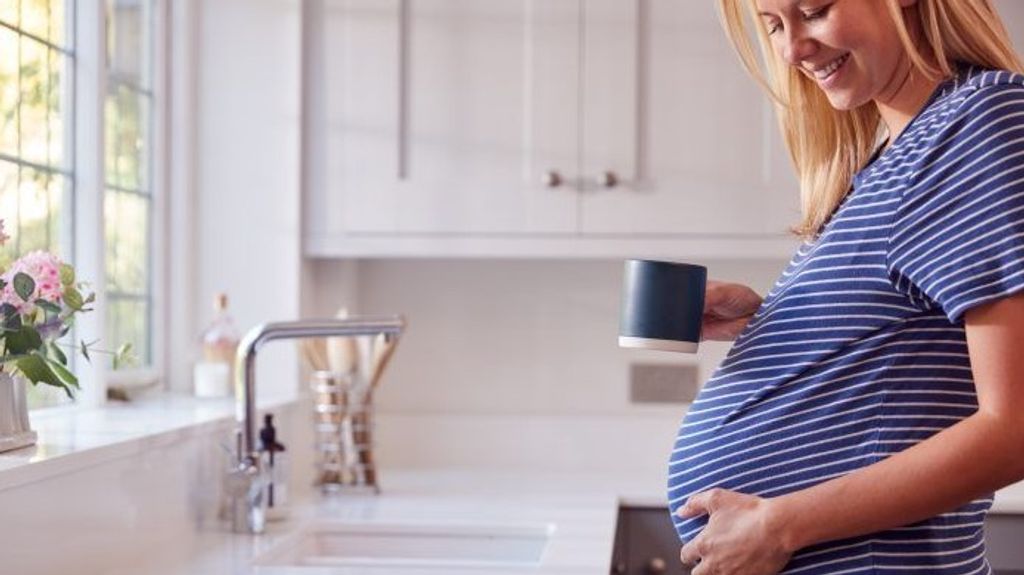 ¿Serán las anchoas recomendables durante el embarazo?