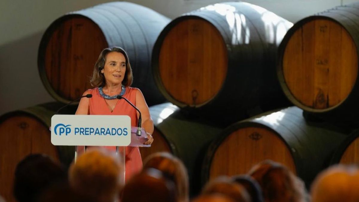 gamarra bodega gamarra bodega