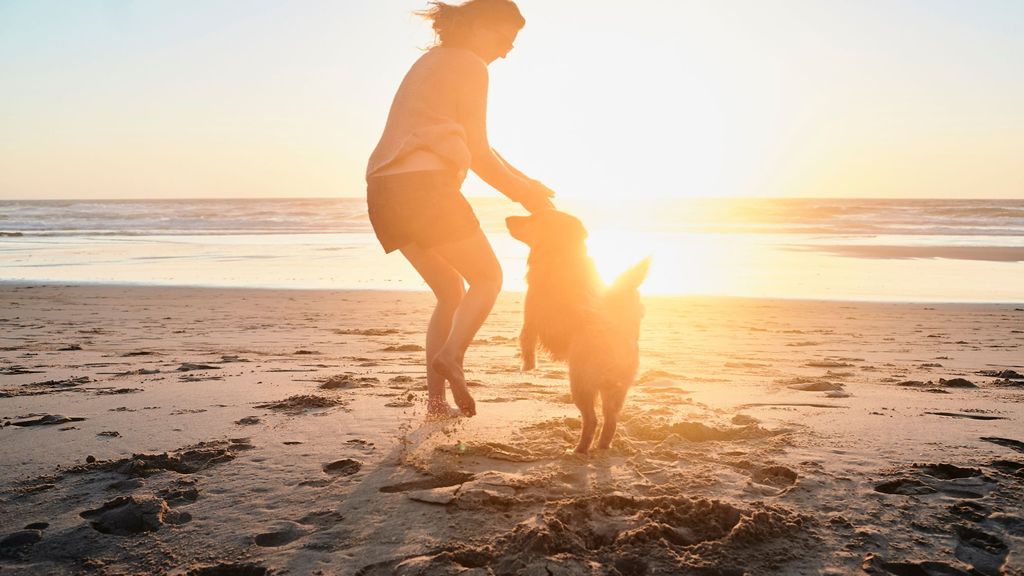 Las mejores playas de España para ir con tu perro en verano