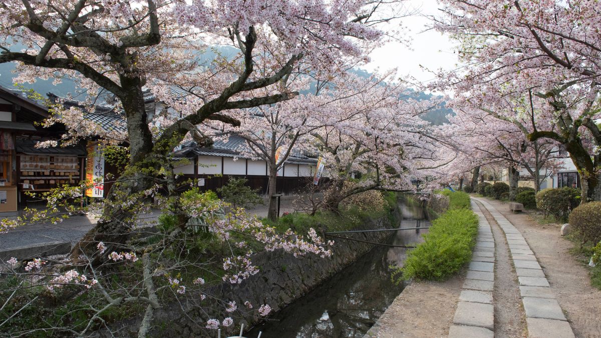 Philosopher's Path, Kioto (Japón)