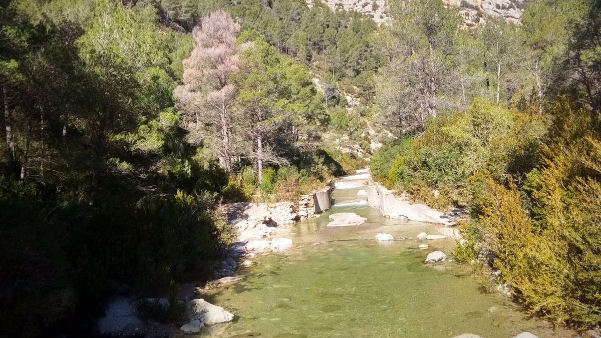 Detenido por provocar presuntamente un incendio en el Paraje Natural de la Tinença de Benifassà Detenido por provocar presuntamente un incendio en el Paraje Natural de la Tinença de Benifassà