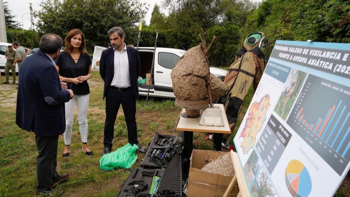 Guisamo. A Coruña
O vicepresidente segundo e conselleiro de Presidencia, Xustiza e Deportes, Diego Calvo, acompañado pola Directora Xeral de Administración Local, Natalia Prieto, visitan as instalacións de Seaga para coñecer o desenvolvemento do Plan de control de velutinas. Na oficina de Seaga en Guísamo
03/08/2022
Foto: Moncho Fuentes / AGN A Coruña Guisamo. A Coruña
O vicepresidente segundo e conselleiro de Presidencia, Xustiza e Deportes, Diego Calvo, acompañado pola Directora Xeral de Administración Local, Natalia Prieto, visitan as instalacións de Seaga para coñecer o desenvolvemento do Plan de control de velutinas. Na oficina de Seaga en Guísamo
03/08/2022
Foto: Moncho Fuentes / AGN A Coruña