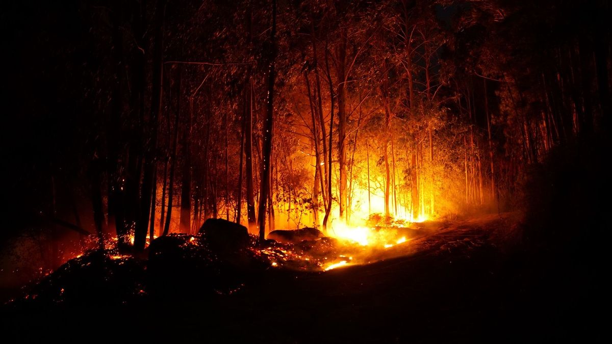 Imagen de uno de los incendios que arrasa Galicia