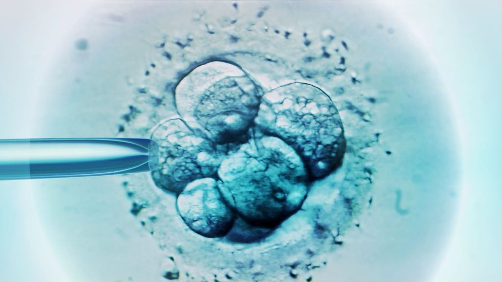 Copia de embriones sintéticos, el gran avance de la ciencia que supone todo un reto para la ética