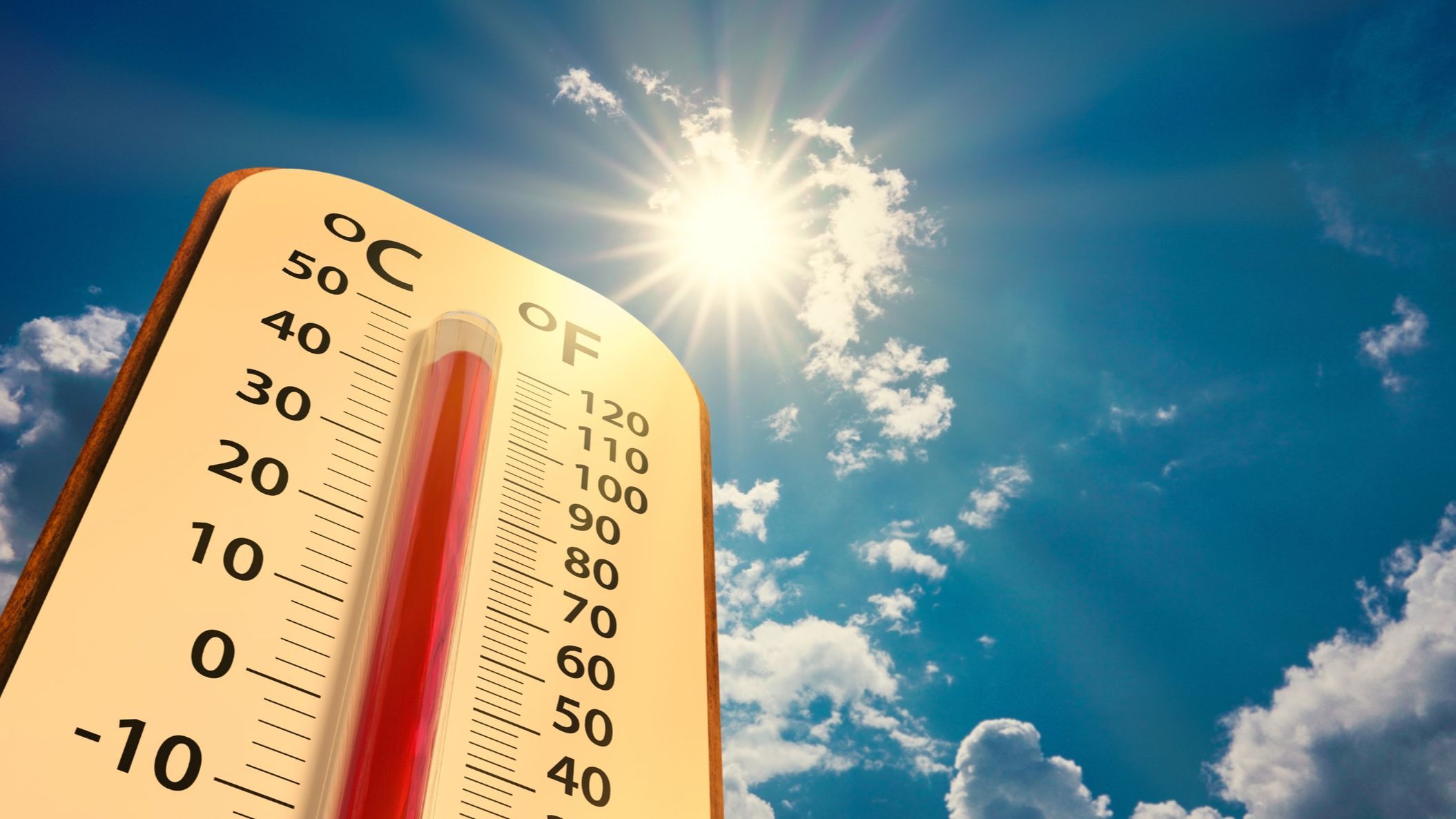 El calor extremo no cesa: "Olas de calor simultaneas en el hemisferio norte  en los próximos diez días" - NIUS