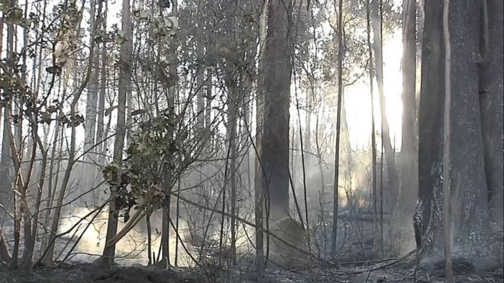 El fuego arrasa con más de 4.000 hectáreas en la última semana en Galicia