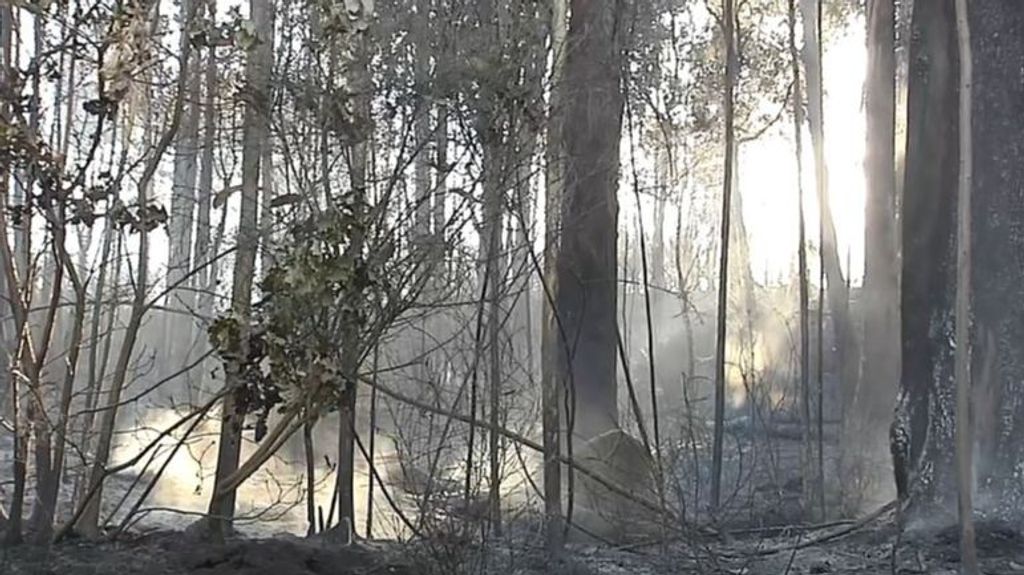 El fuego arrasa con 4.000 hectáreas en Galicia en la última semana