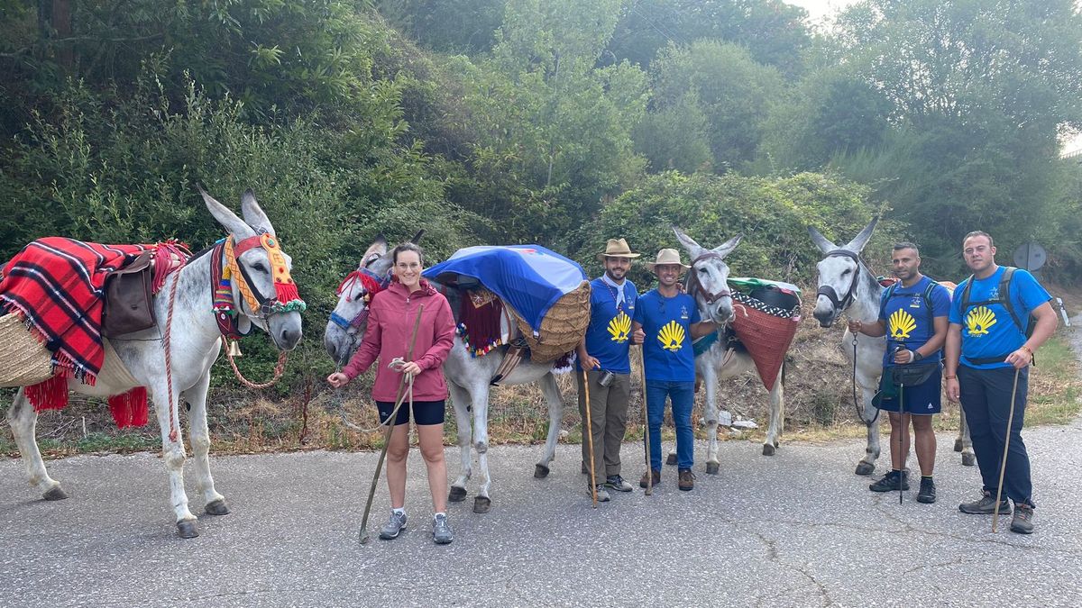 Camino de Santiago en burro Camino de Santiago en burro