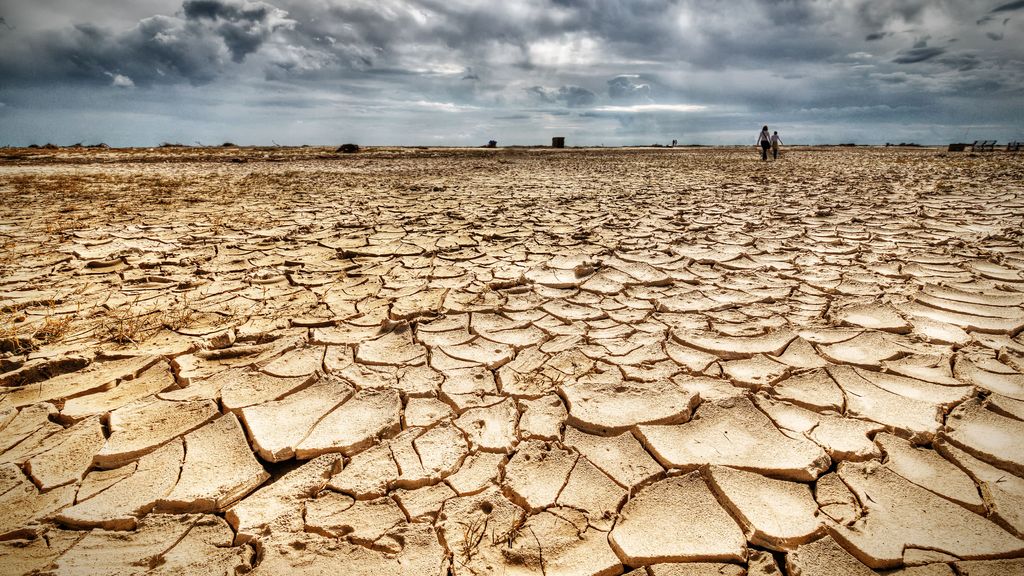 Campo estresado por la sequía histórica