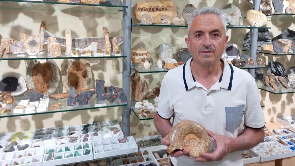 Coleccionistas de fósiles: “Se crearon hace millones de años, son un milagro”