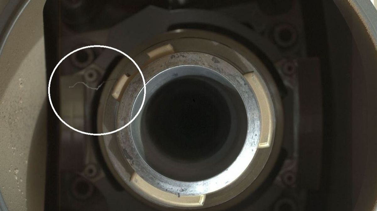 El pelo que despierta misterio en Marte: investigan su aparición en el rover Perseverance El pelo que despierta misterio en Marte: investigan su aparición en el rover Perseverance