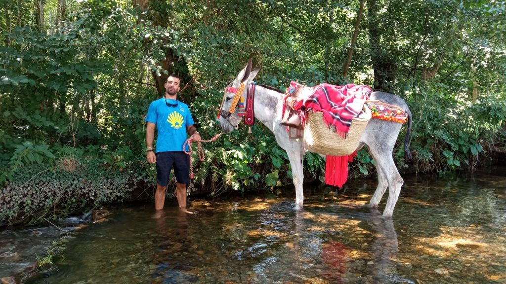 En burro al Camino de Santiago