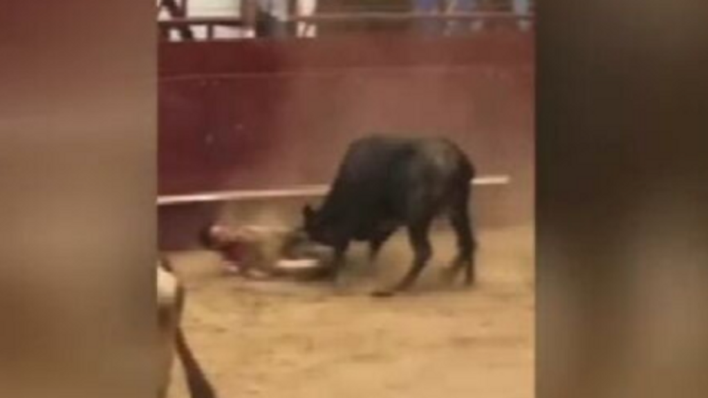 La espectacular cogida de una vaca a un joven por el cuello en la localidad navarra de Arguedas