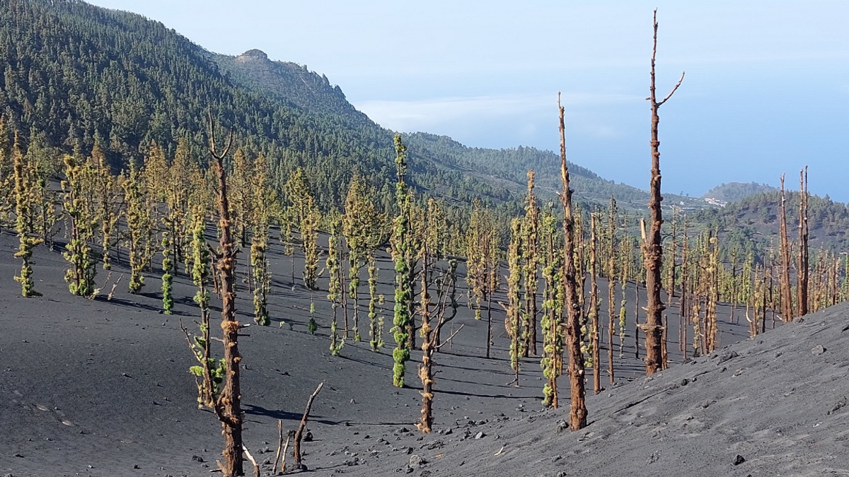 volcan volcan
