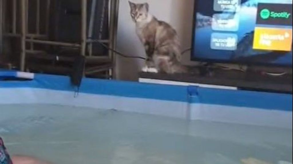 Una piscina en el salón de casa