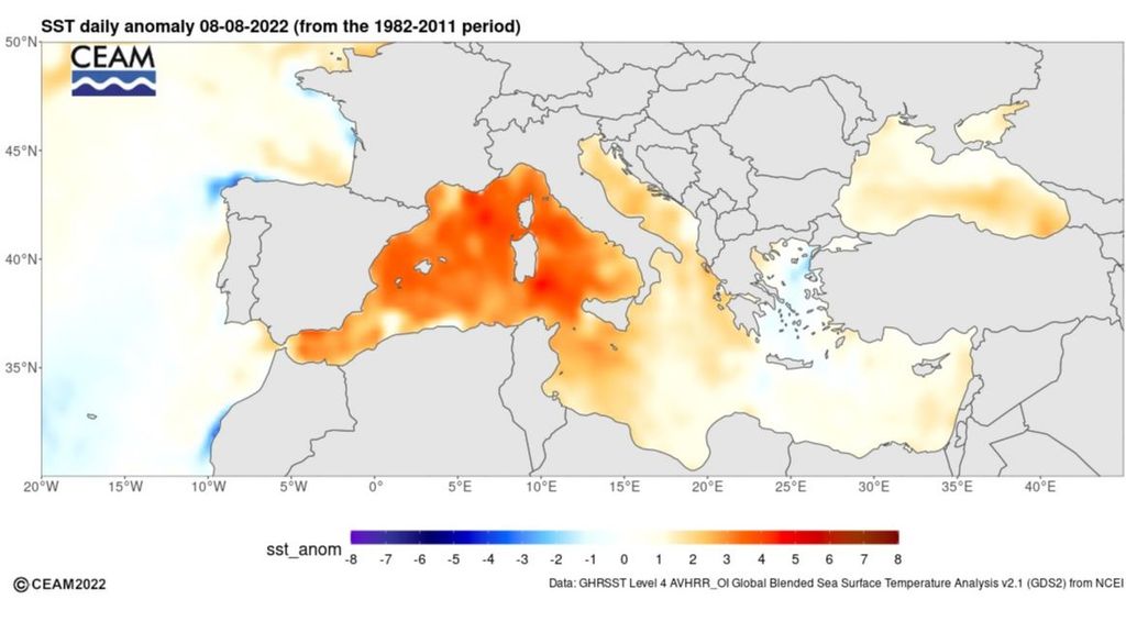 Anomalía de la temperatura superficial del mar Mediterráneo el 8 de agosto 2022